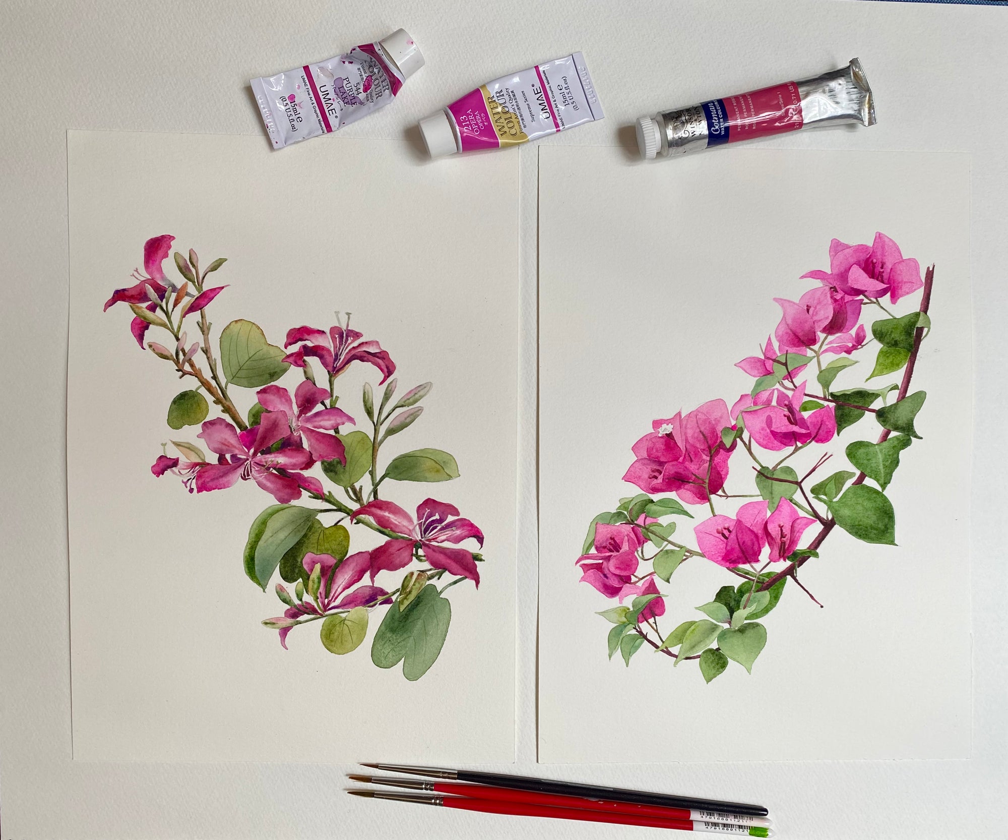 Singlapa watercolor artwork of pink flowers on canvas with brushes and paints