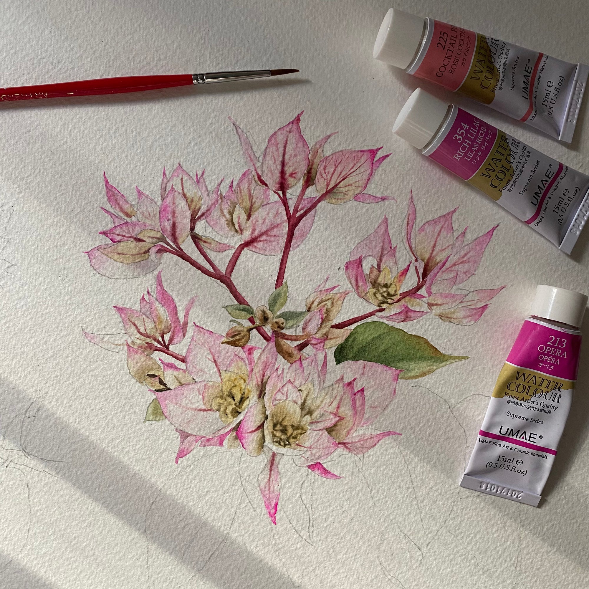 Tropical Flowers Pouch