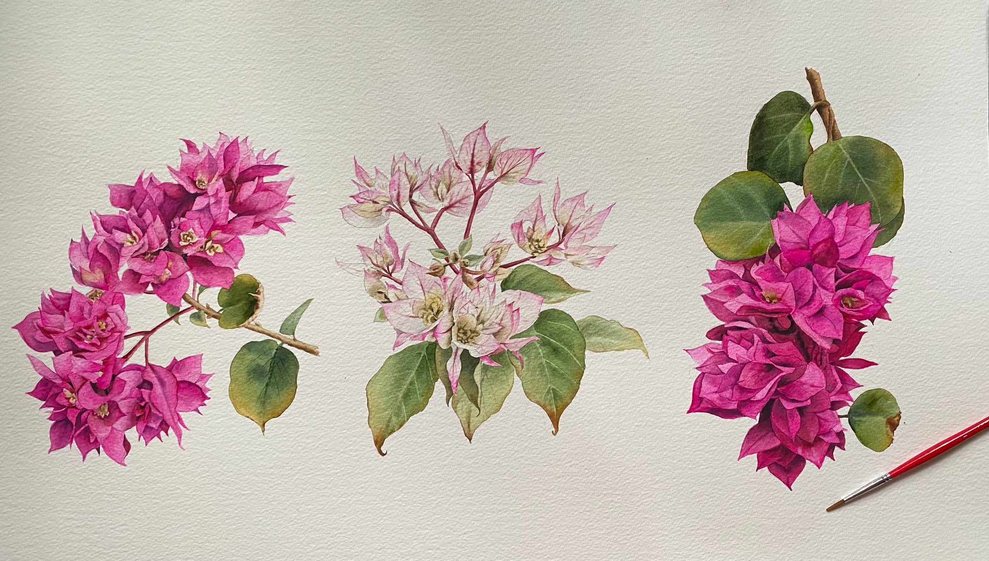 Tropical Flowers Oven Mittens