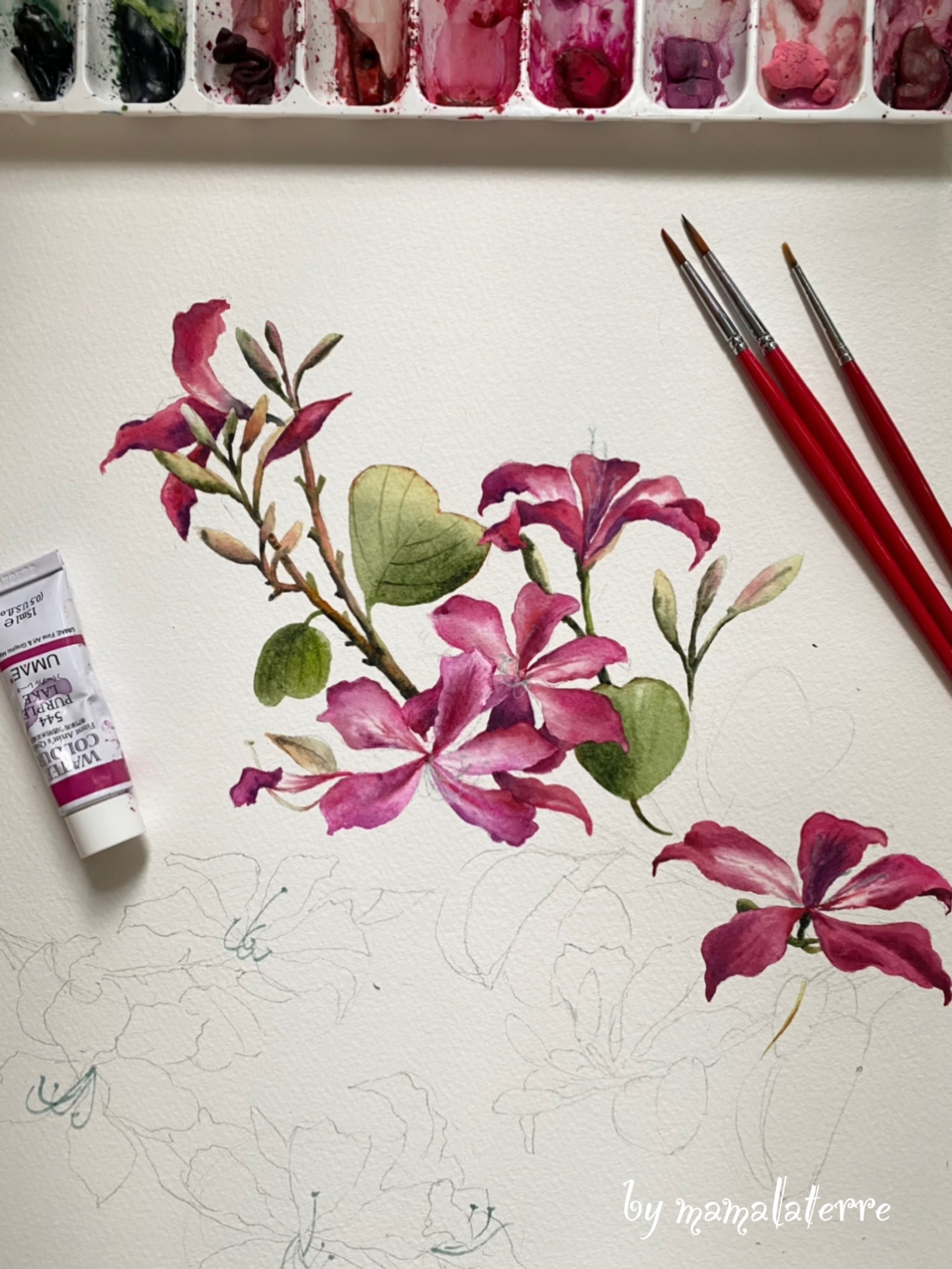 Tropical Flowers Apron