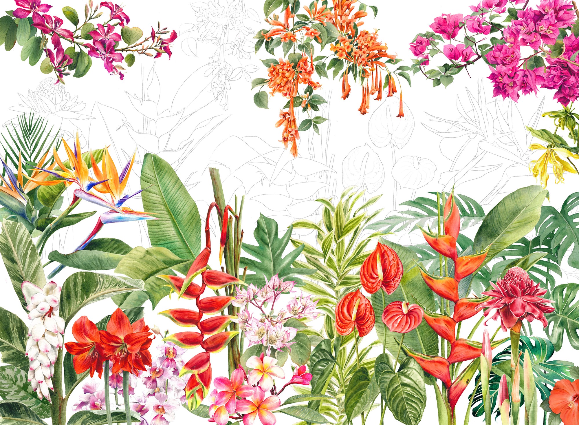 Singapore Tropical Flowers