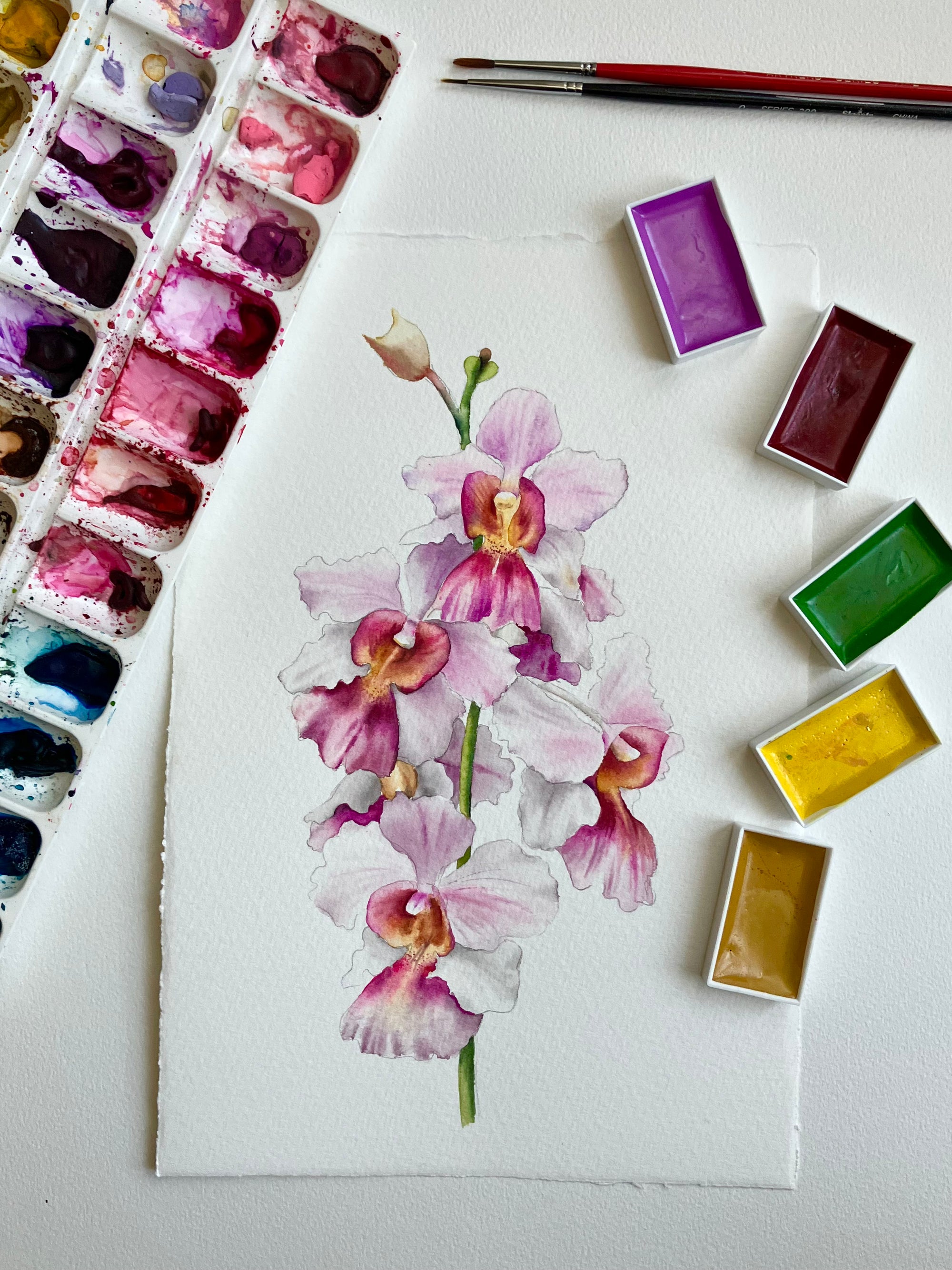 Vanda Miss Joaquim Silk Scrunchies