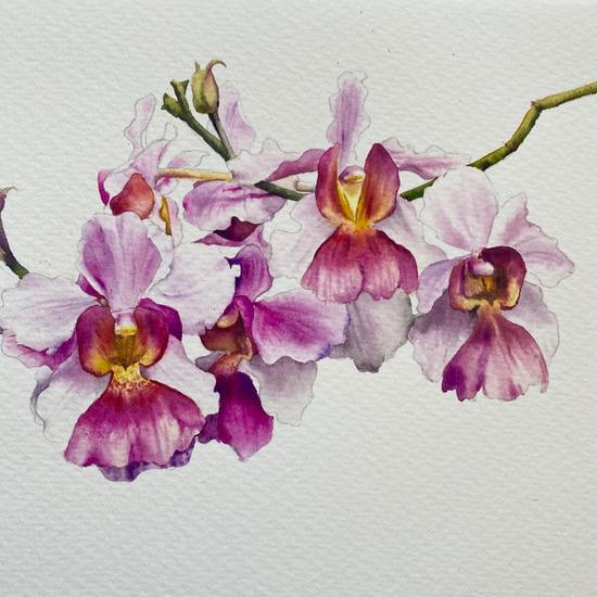 Vanda Miss Joaquim Tea Towel