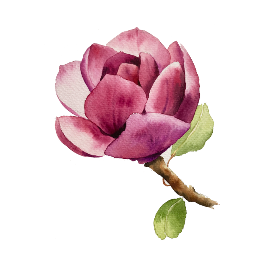 Flower Stencils (A4 Size)