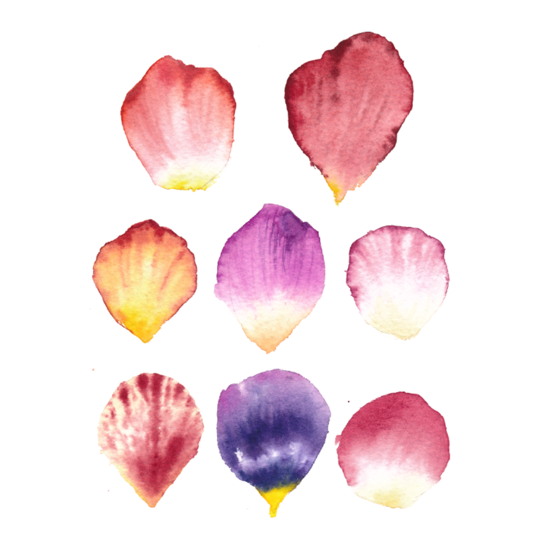 Flower Stencils (A4 Size)