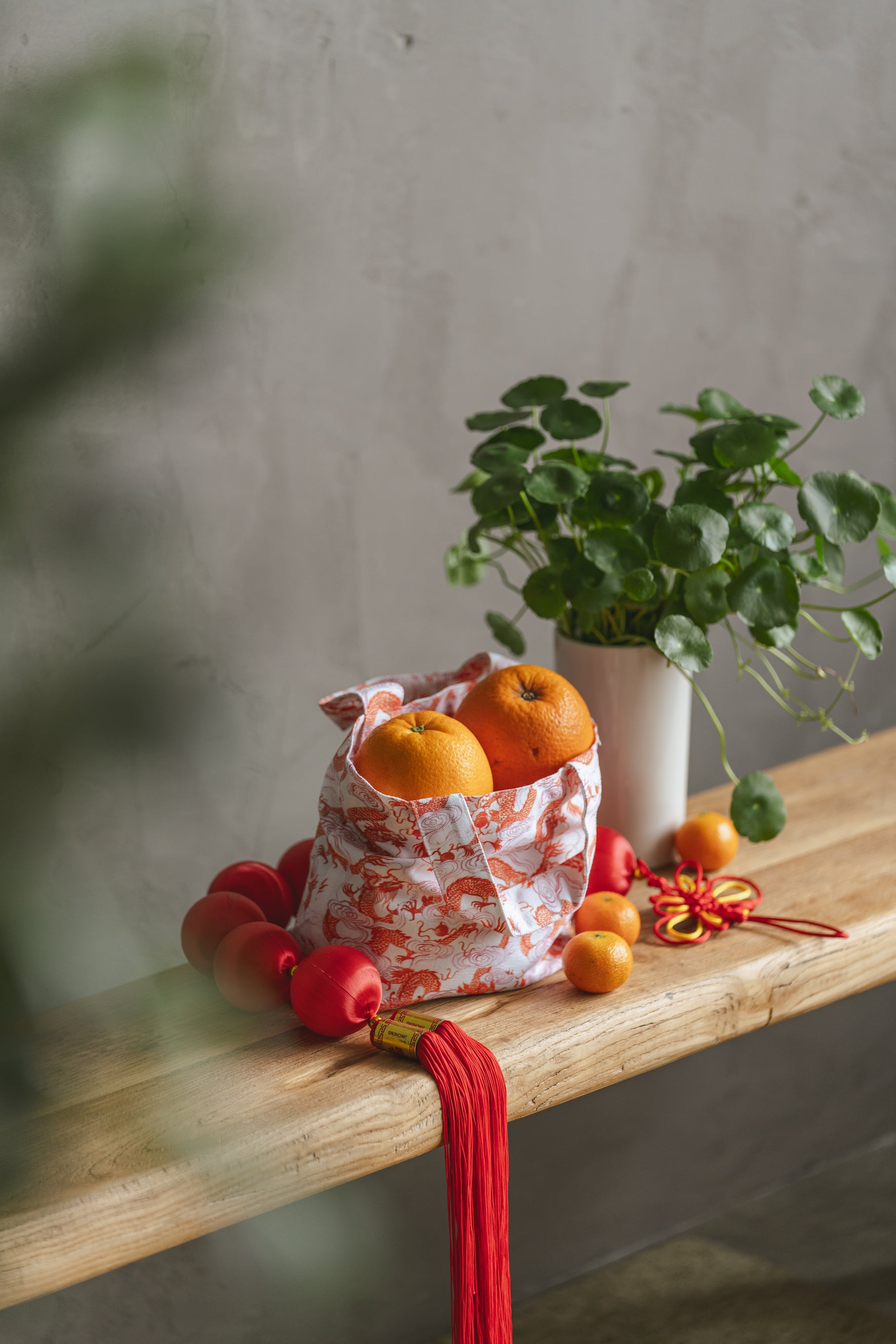 orange bag holding oranges next to a potted plant on a bench
