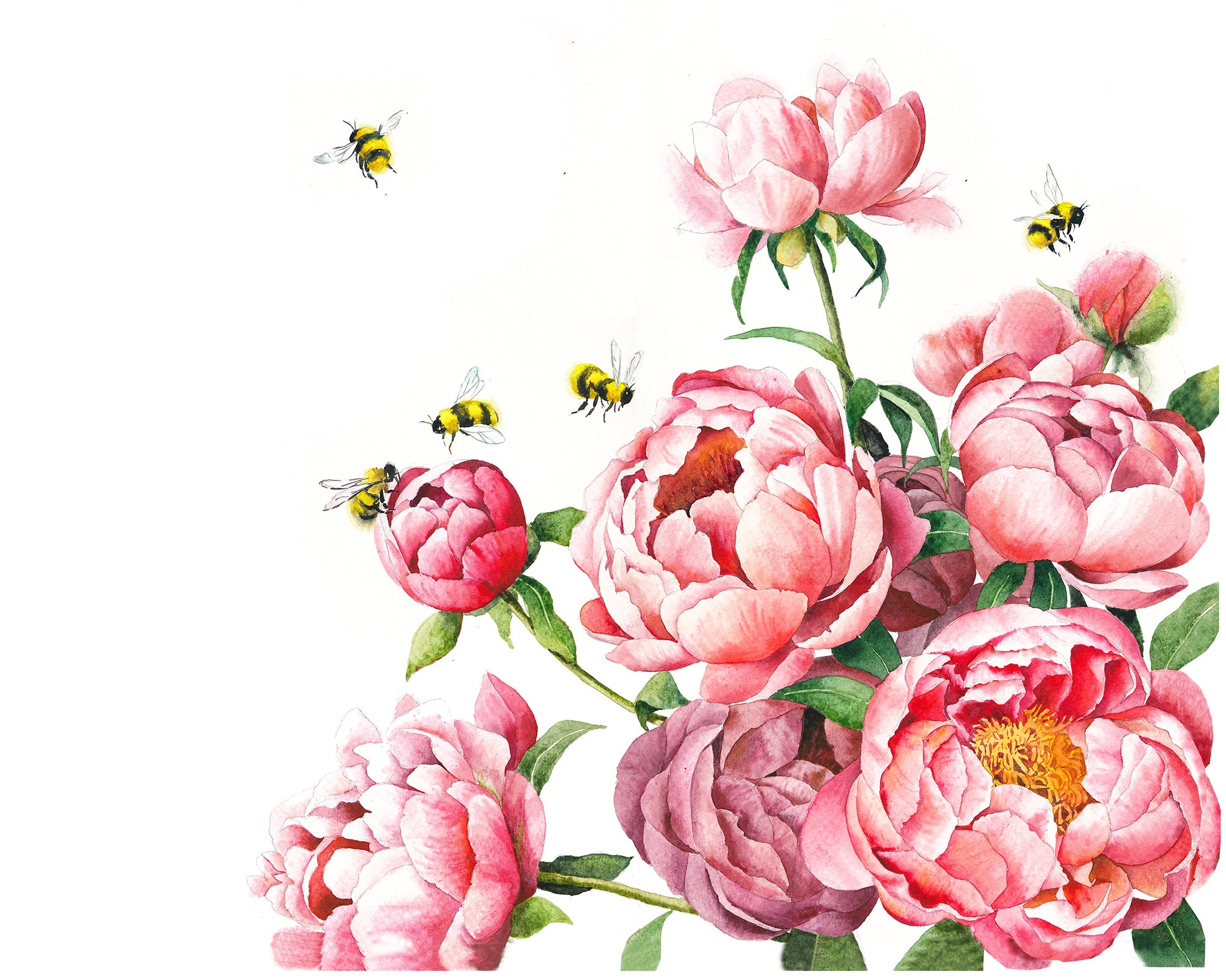 Peonies and Bees
