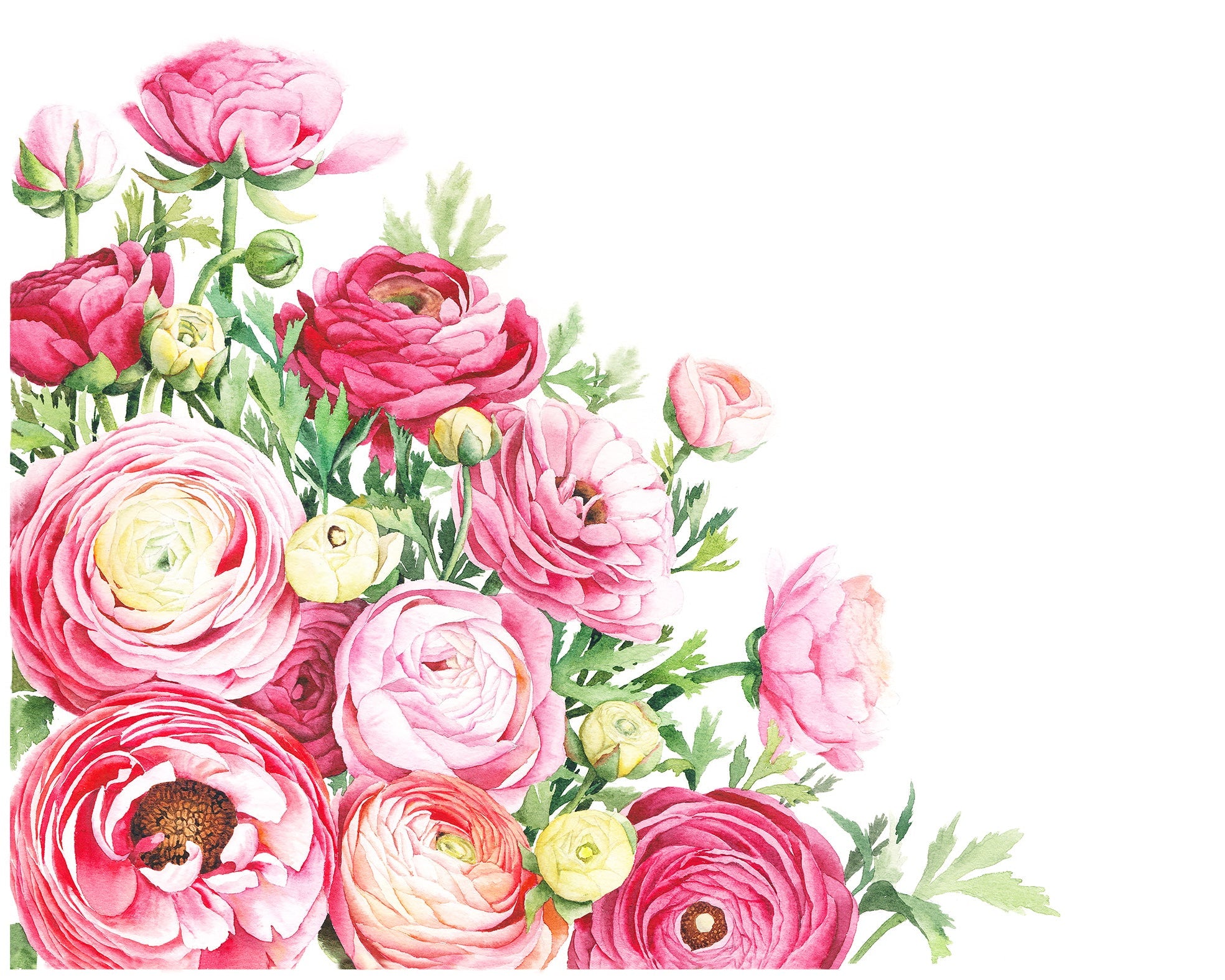 Romantic watercolor painting of bright pink flowers, perfect for wedding inspiration