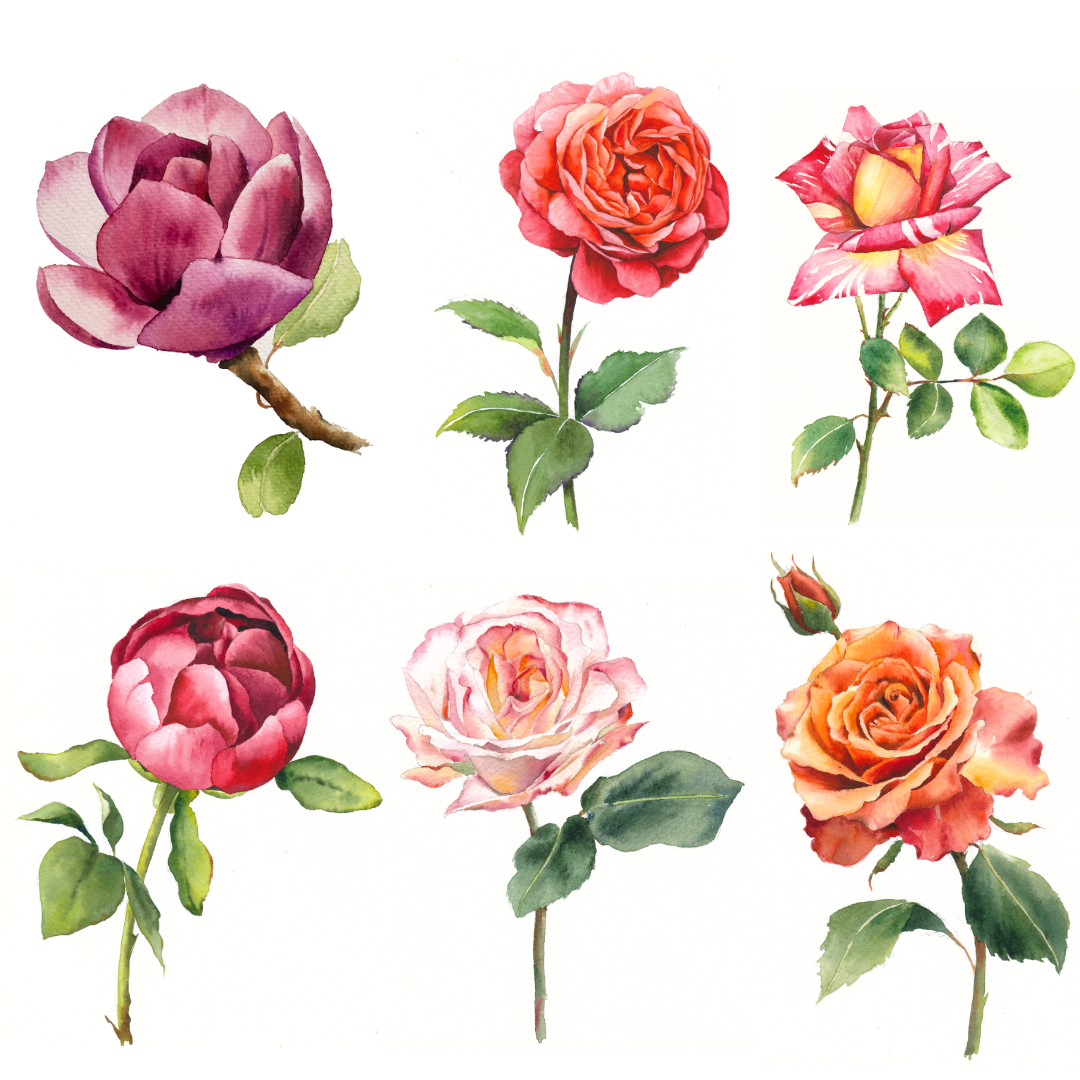 Flower Stencils (A4 Size)