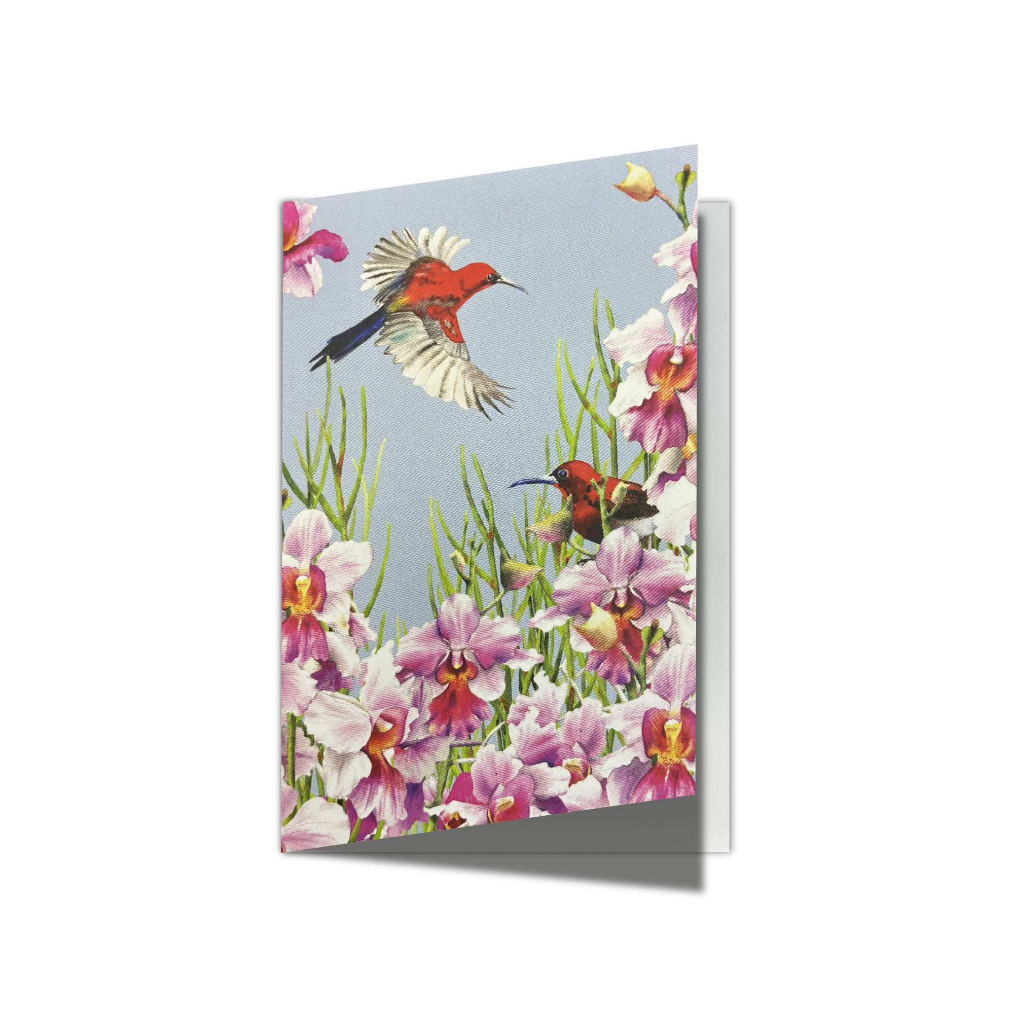 Vanda Blue Greeting Card