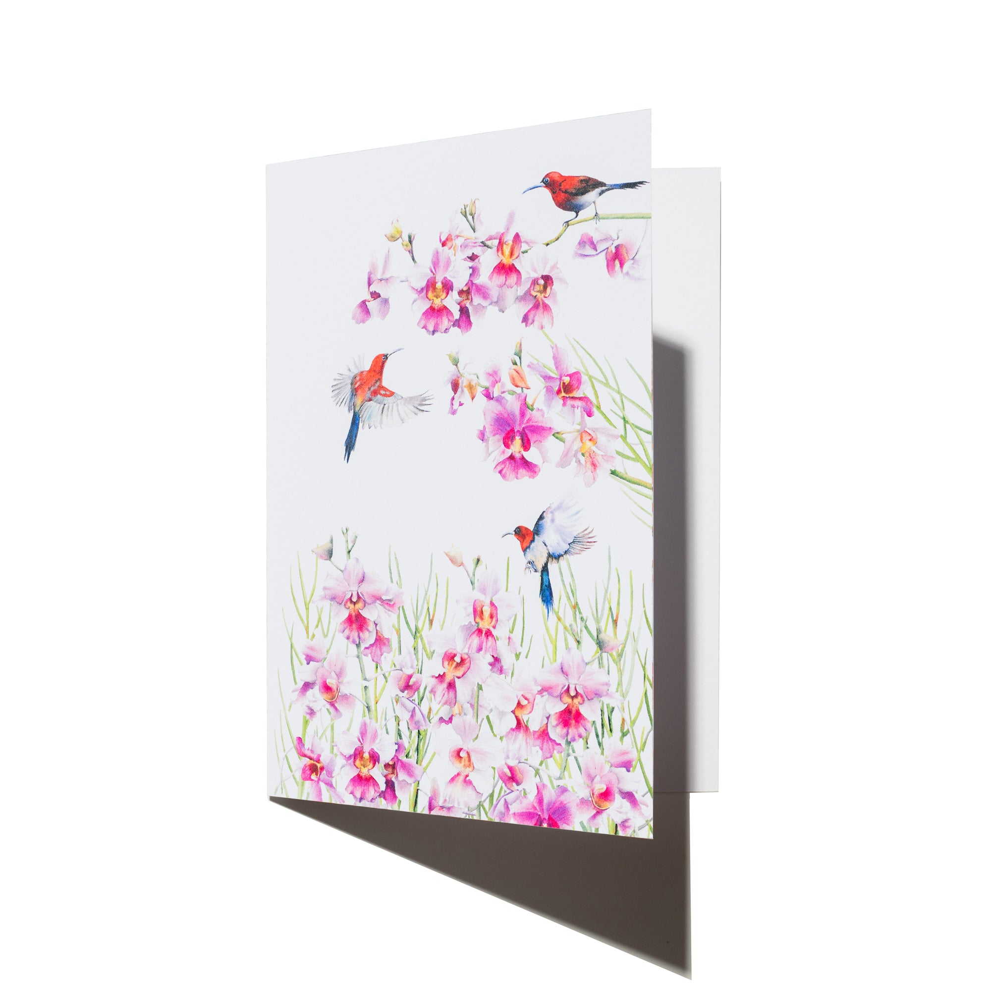 Vanda Greeting Card