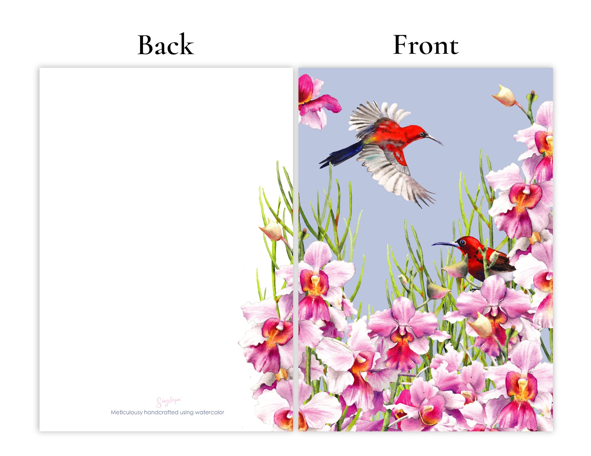 Vanda Blue Greeting Card