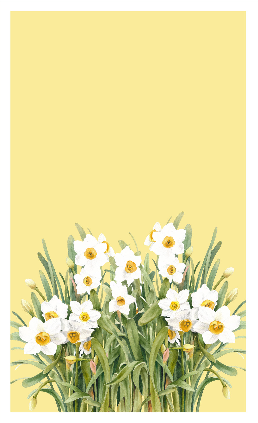 Narcissus Daffodils Tea Towel