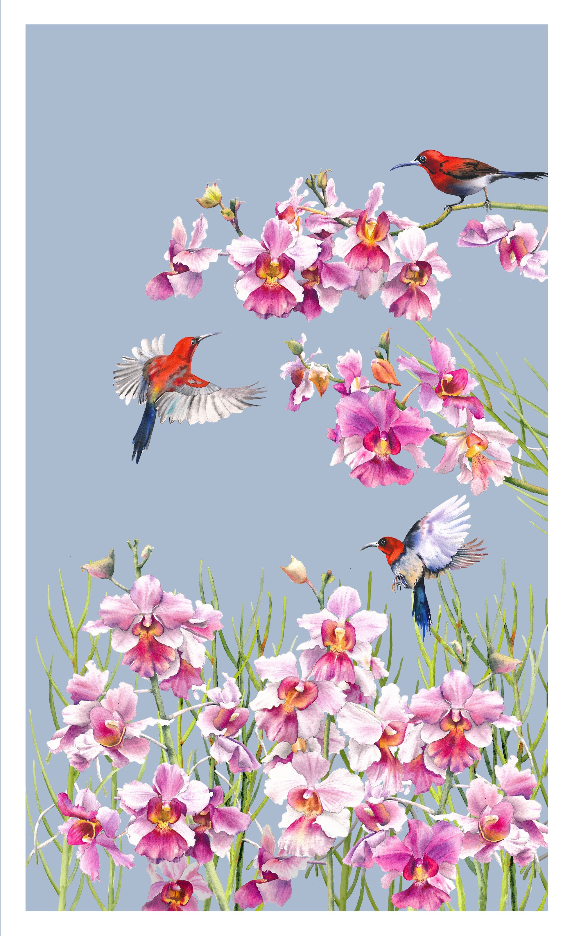 Vanda Tea Towel